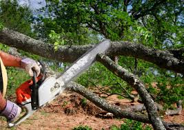 Best Landscape Design and Installation  in Powder Springs, GA